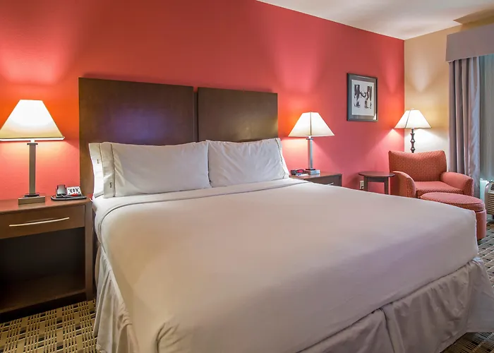Holiday Inn Express Houston Space Center-Clear Lake By Ihg